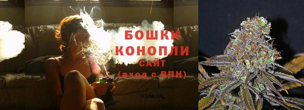 сатива Армянск