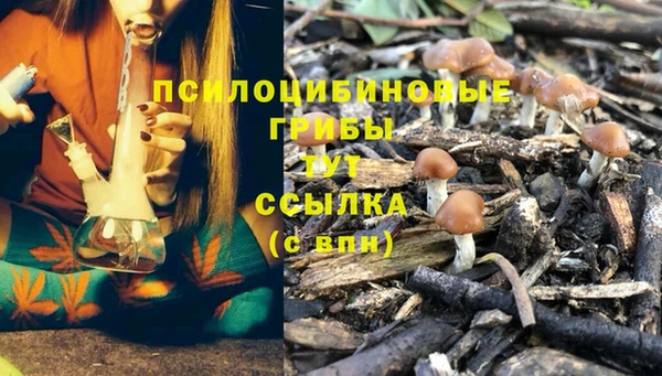 сатива Армянск